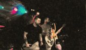 Conoce a silver Monkeys